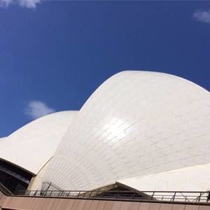 Meet your Posher, Viv